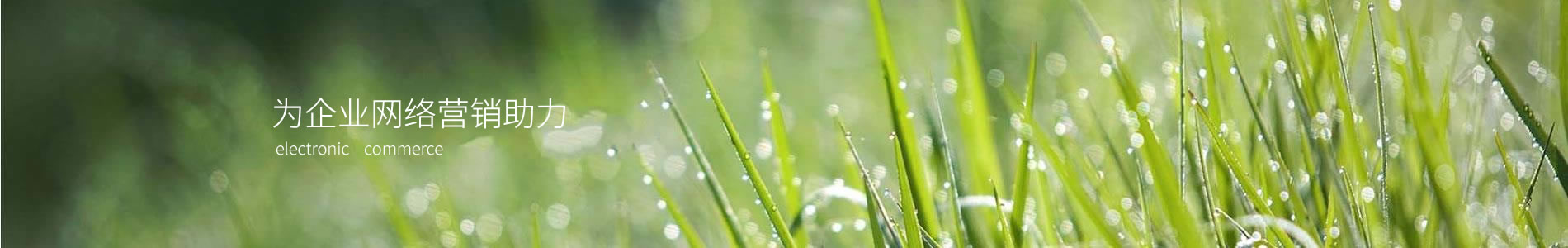 ںϢƼ޹˾